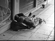 Sleeping bags project